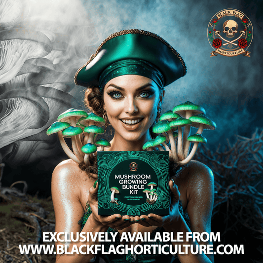 Introducing The Mushroom Growing Starter Bundle Kit