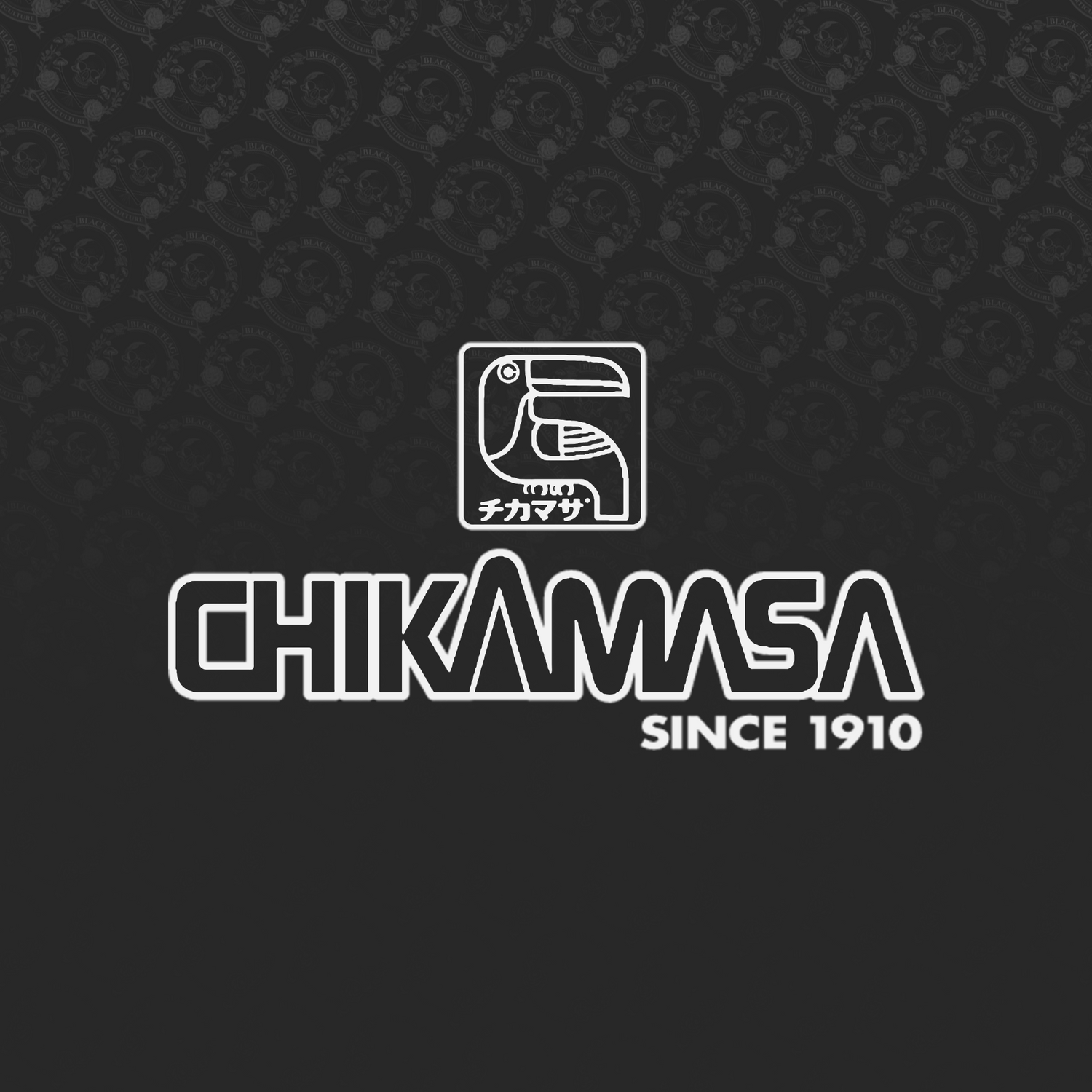 Chikamasa