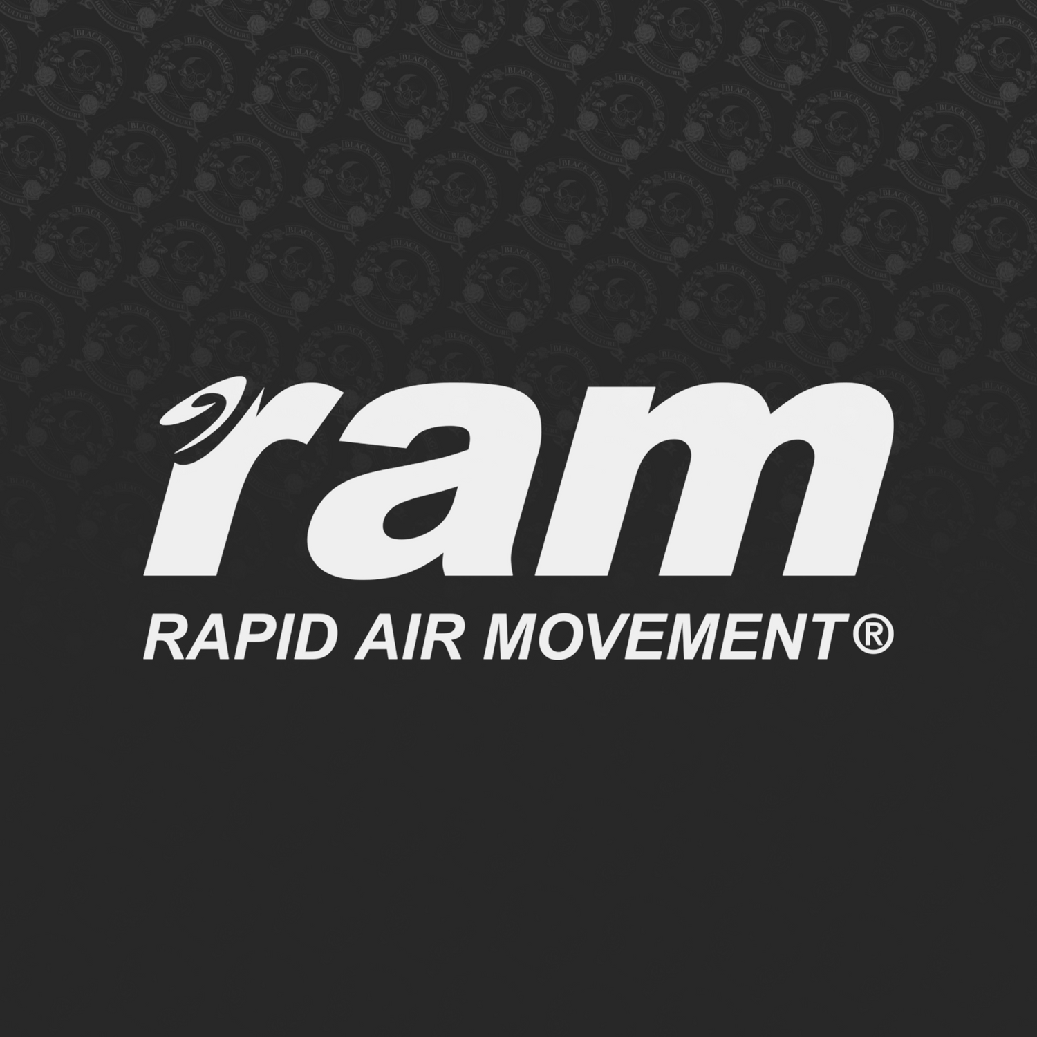 RAM