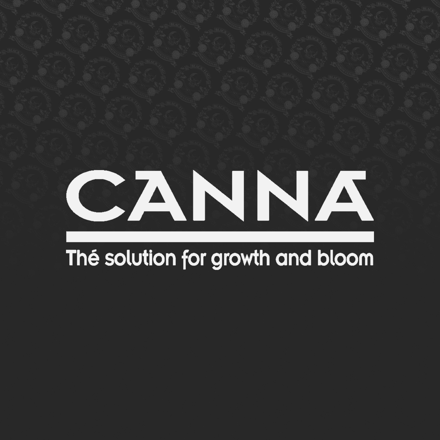 Canna
