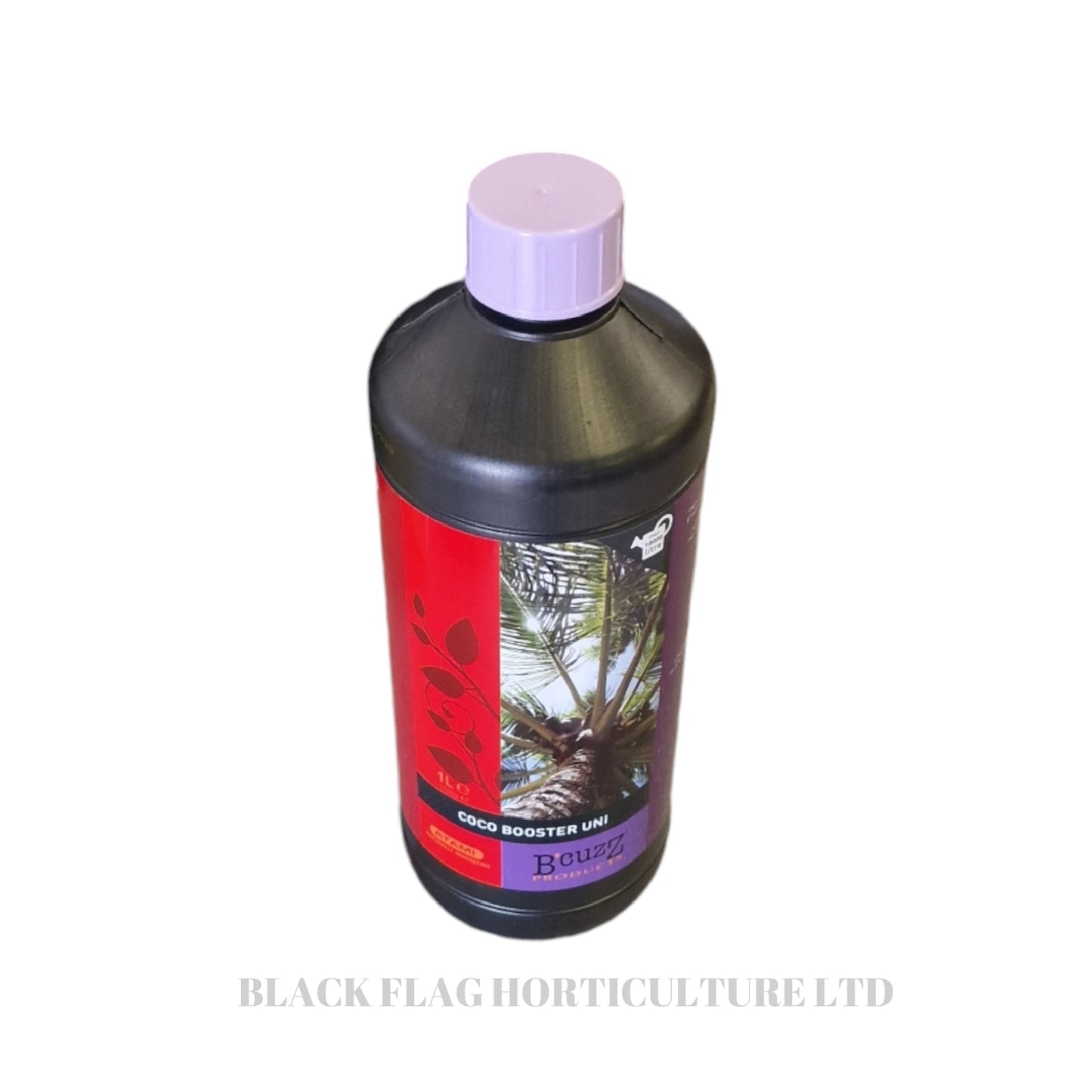 Atami - B'cuzz: Coco Booster Uni