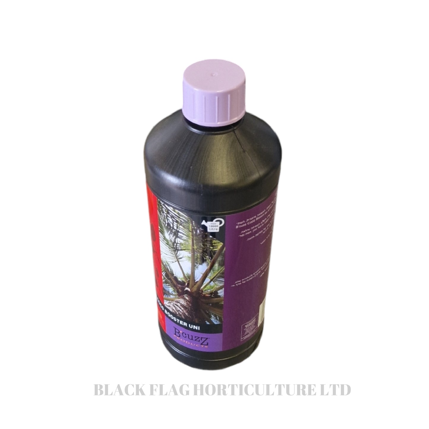 Atami - B'cuzz: Coco Booster Uni