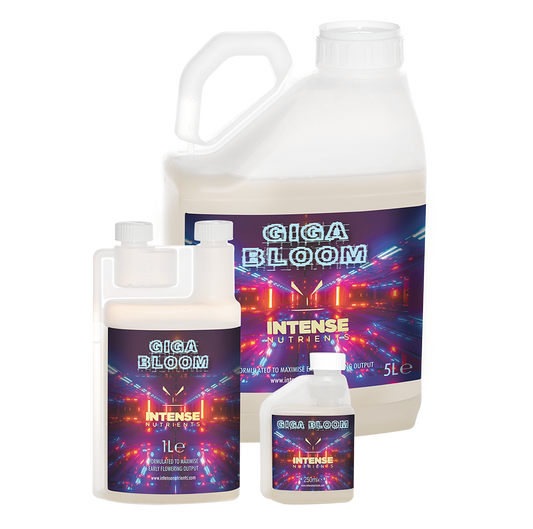 Intense Nutrients - Giga Bloom (Early Flower Booster)