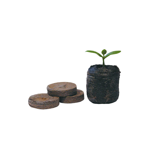 Jiffy-7 - Coco Plugs 41mm