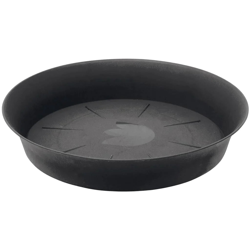 Saucers for pots at Black Flag Horticulture