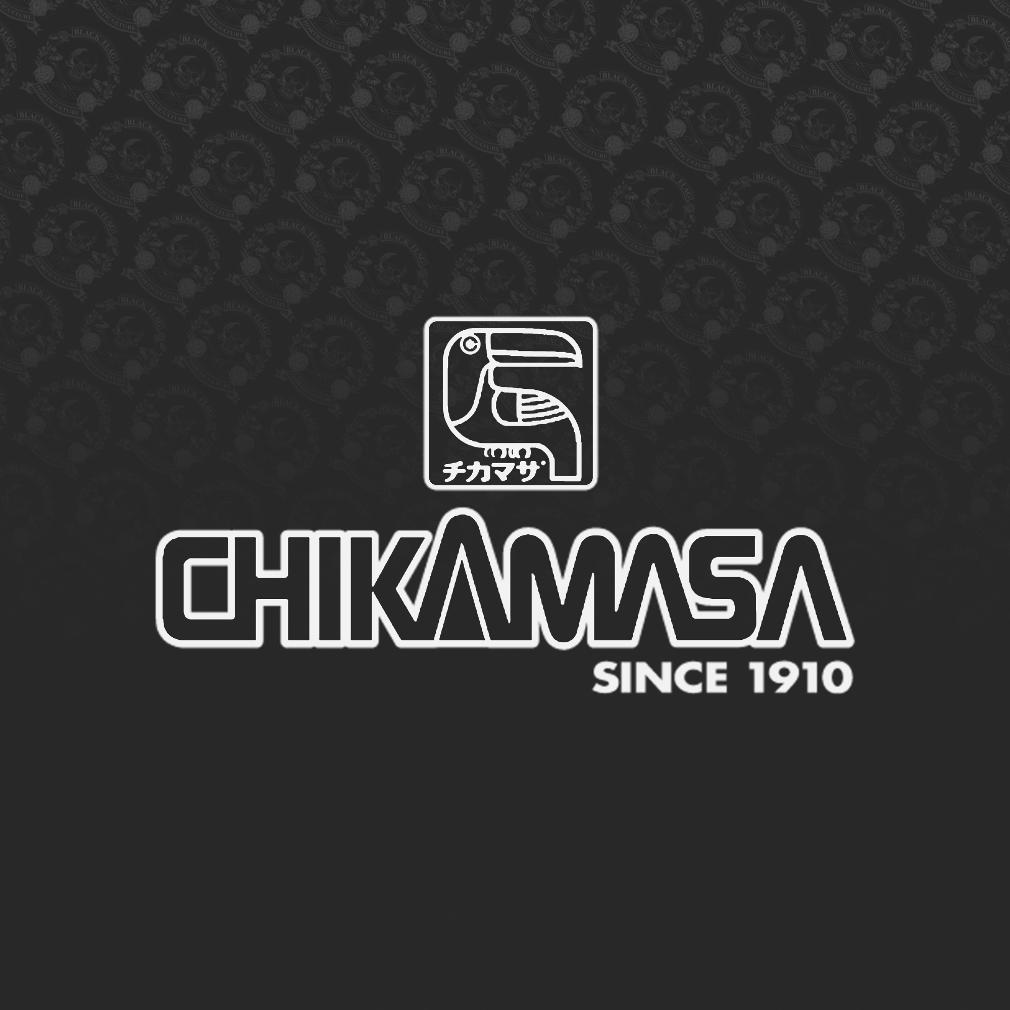 Chikamasa