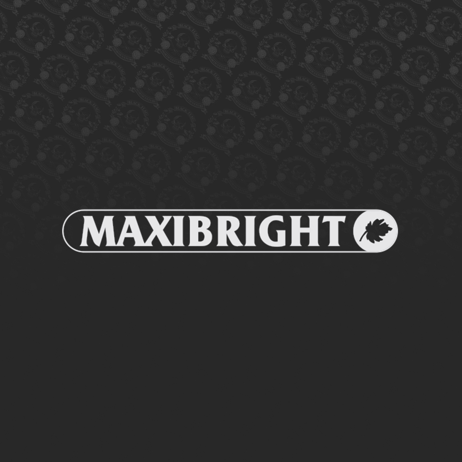 Maxibright