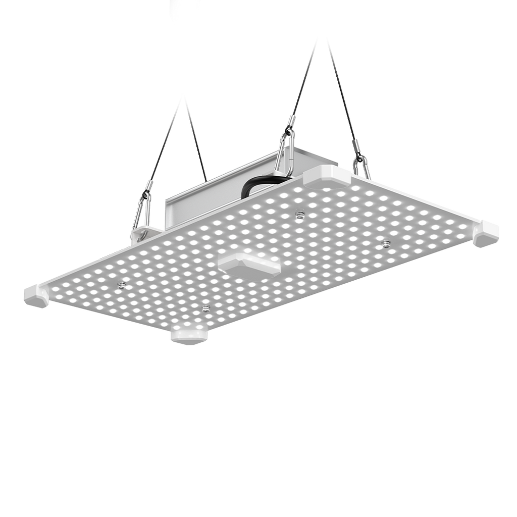 LUMii BLACK Blade 100w LED