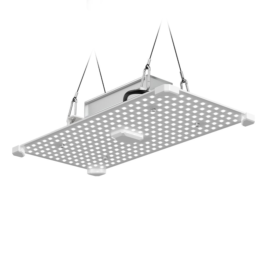 LUMii BLACK Blade 100w LED