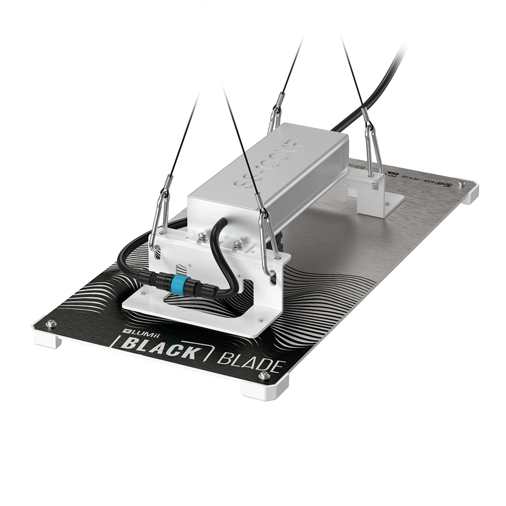 LUMii BLACK Blade 100w LED