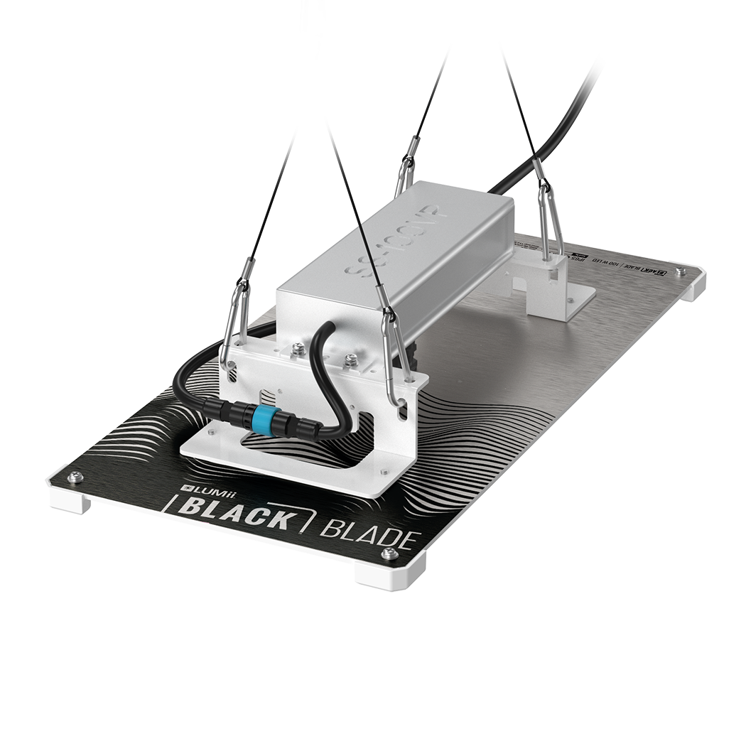 LUMii BLACK Blade 100w LED