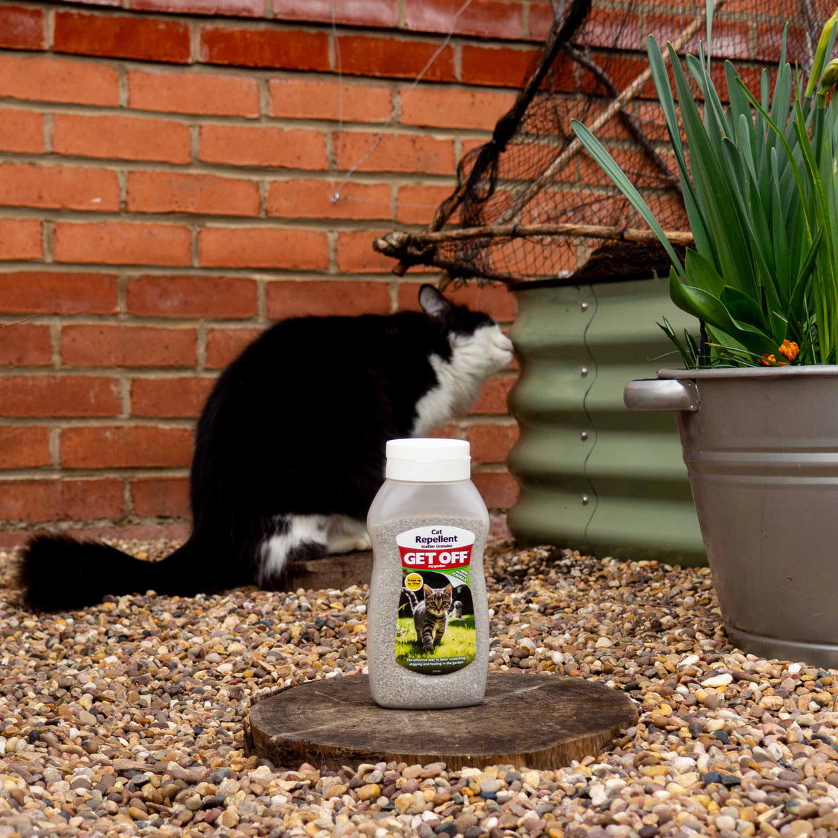 Cat next to Get Off Cat Repellent in a garden