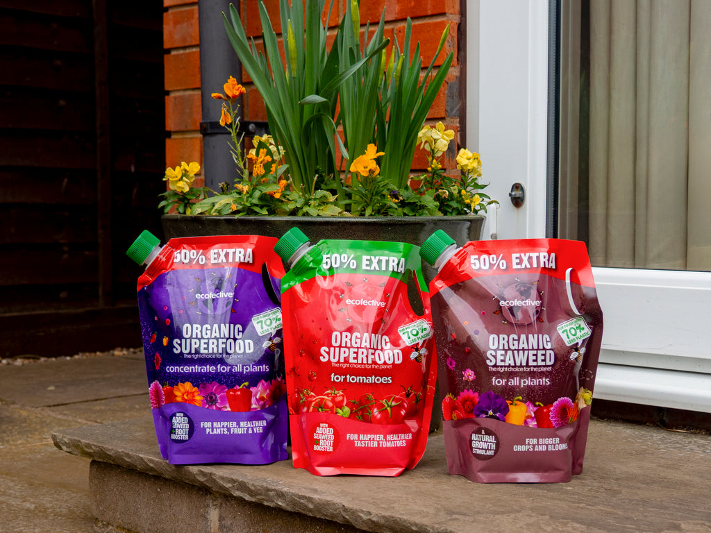 ecofective Organic Superfood and Organic Seaweed pouches on a garden step
