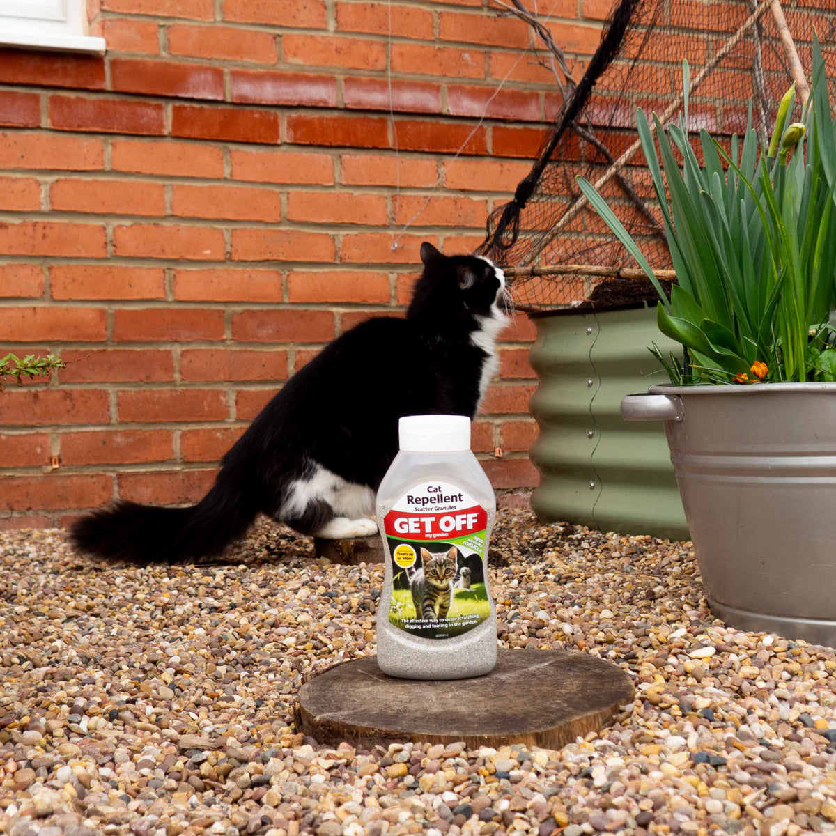 Get Off Cat Repellent 600ml on a garden step with a cat