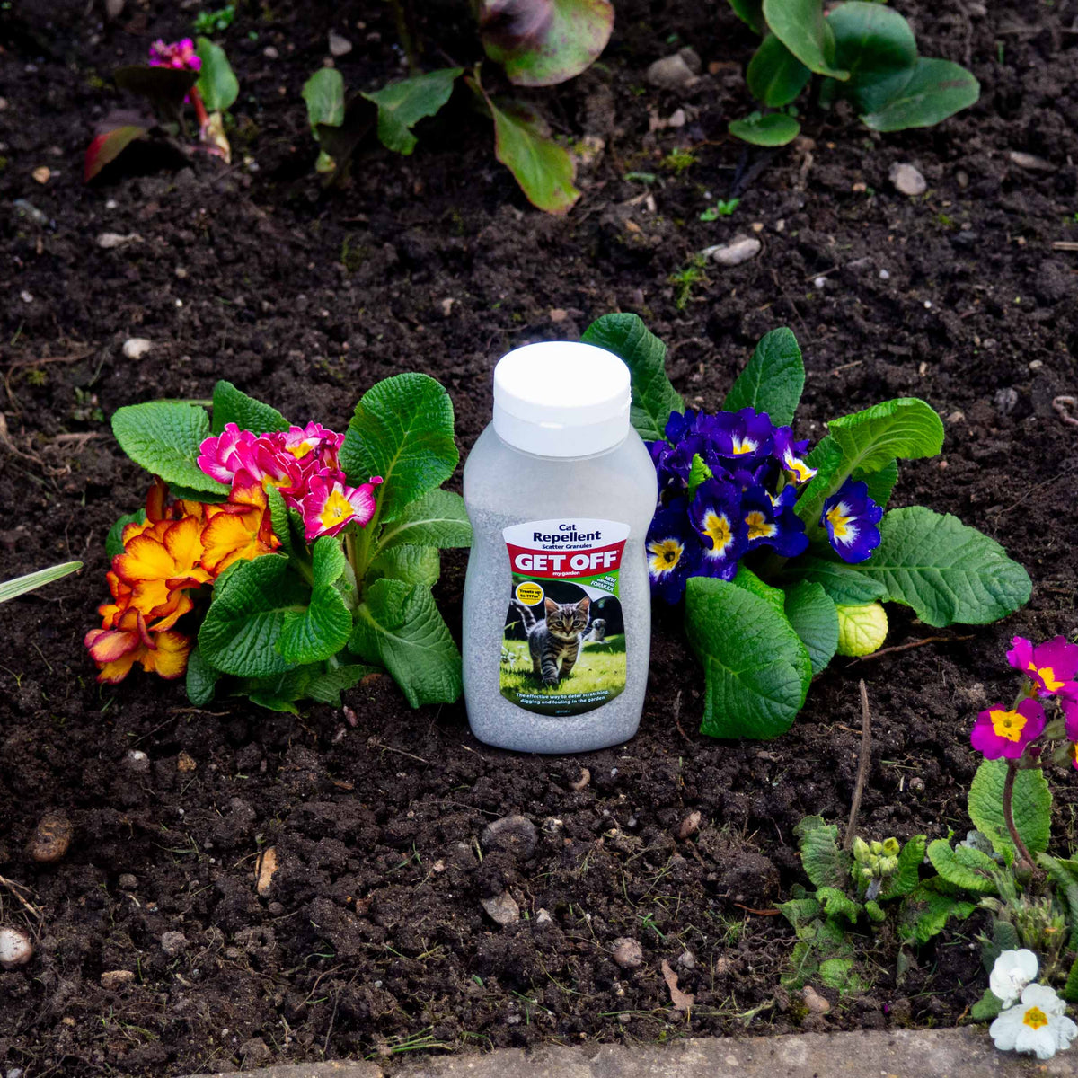 Get Off Cat Repellent in a planted border