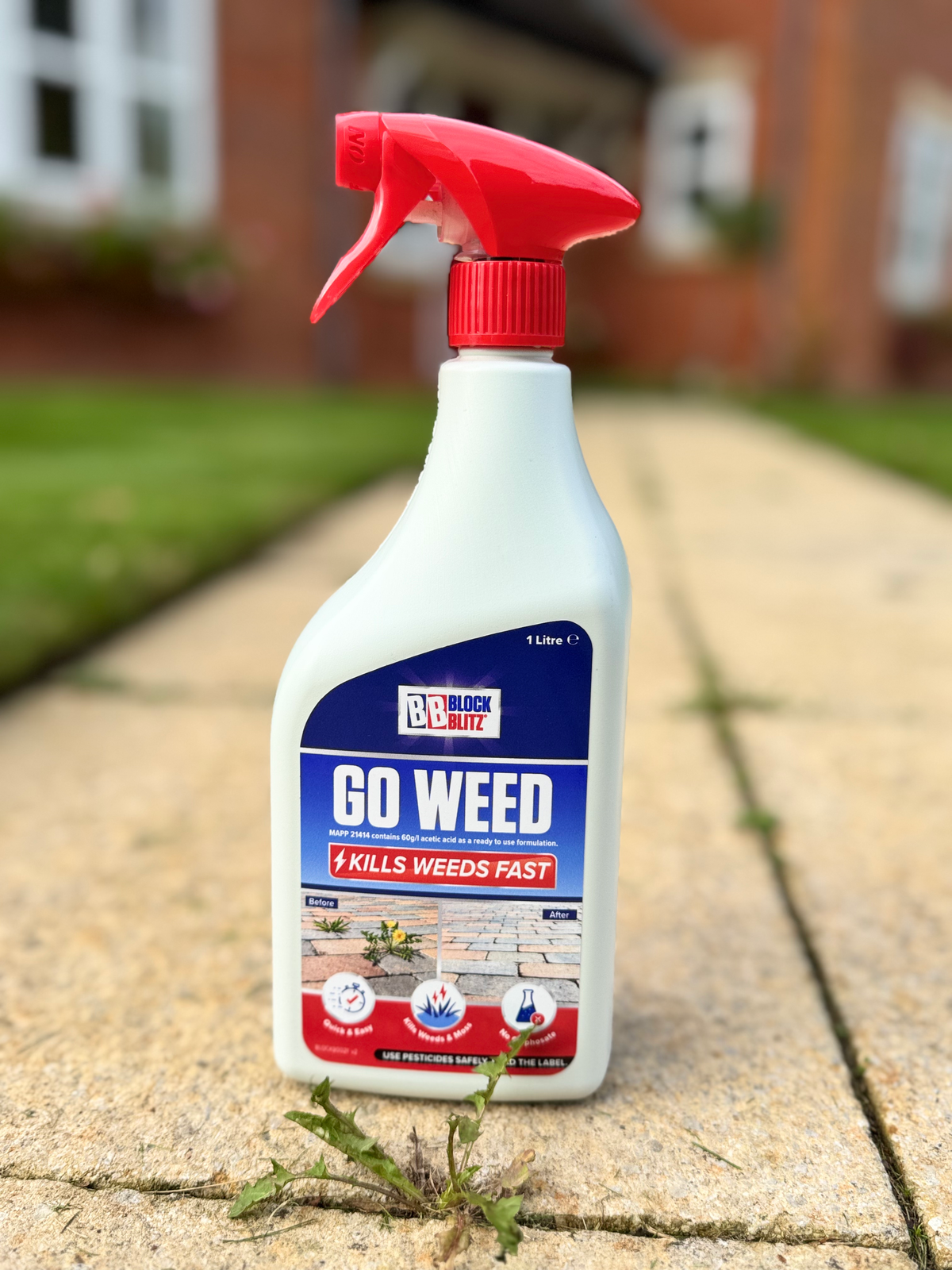 Go Weed 1L spray on a garden path