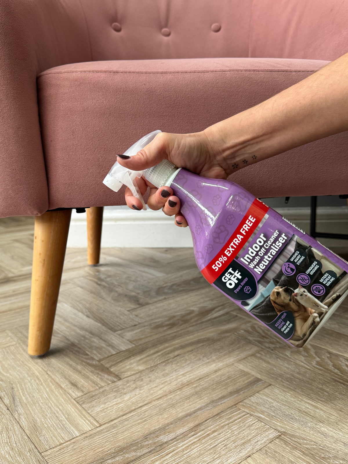 Spraying Wash Off Indoor onto a carpet