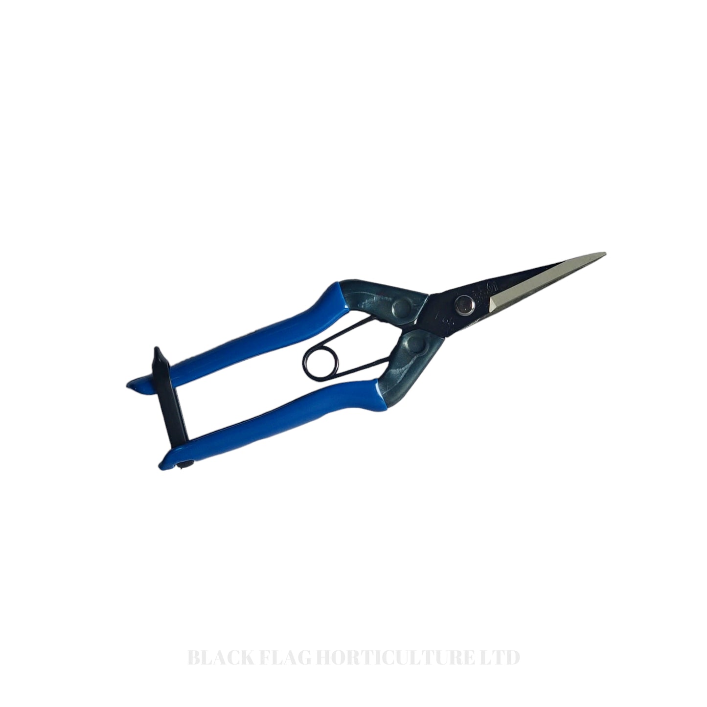 Chikamasa - TS5 Prunning Scissors