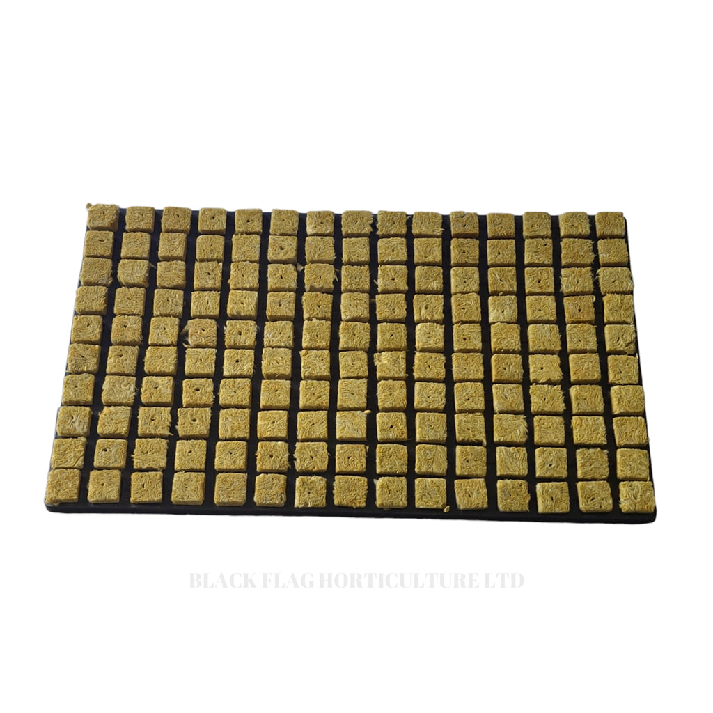 Cultiwool - CRB Small Propagator Plugs in a Tray