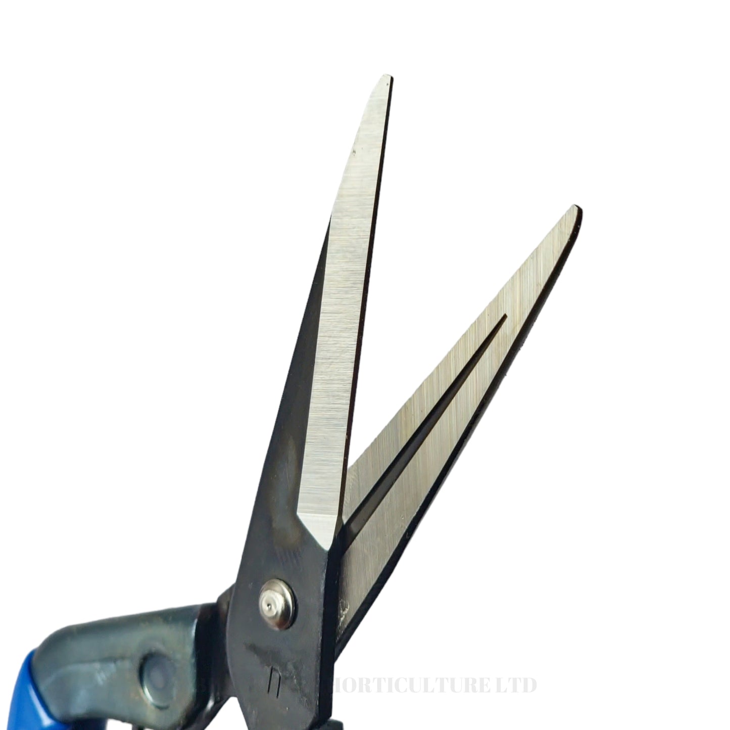 Chikamasa - TS5 Prunning Scissors