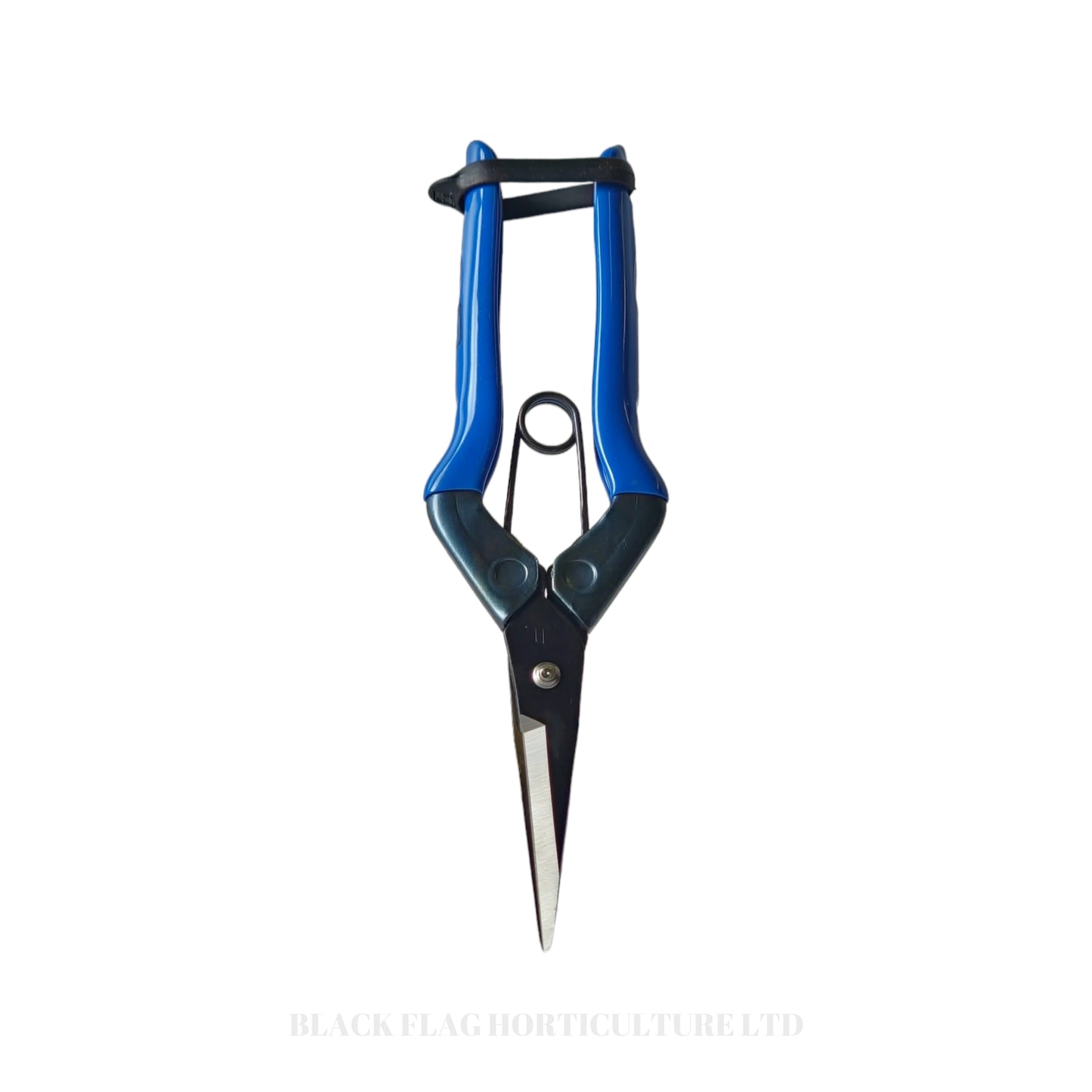 Chikamasa - TS5 Prunning Scissors