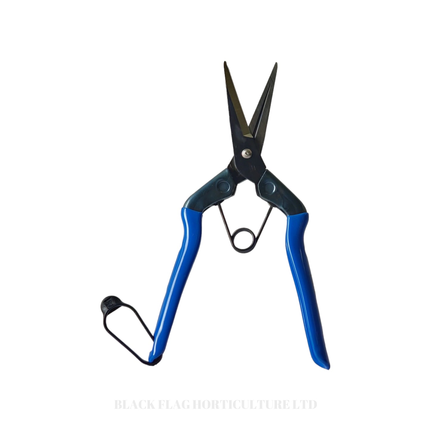 Chikamasa - TS5 Prunning Scissors