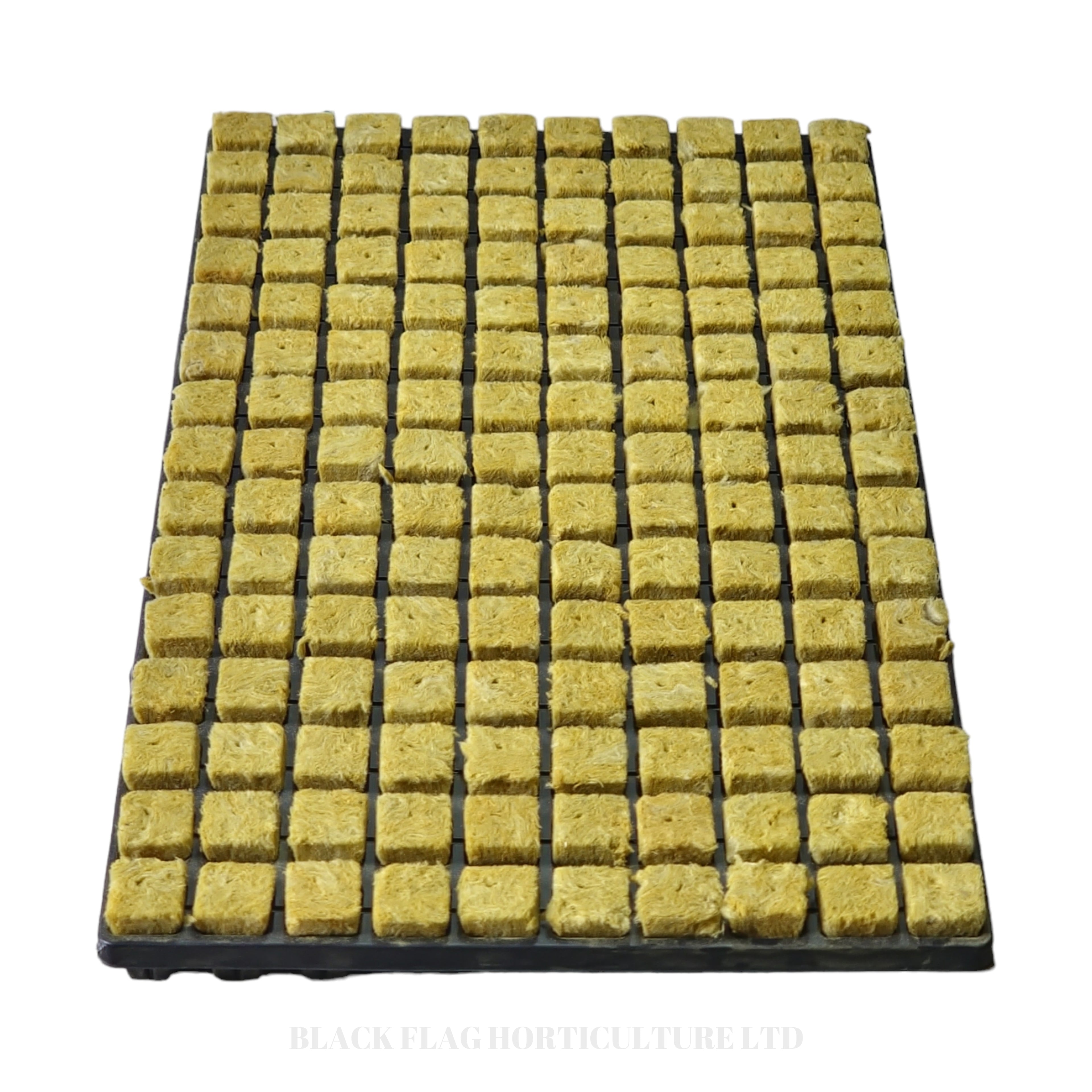 Cultiwool - CRB Small Propagator Plugs in a Tray