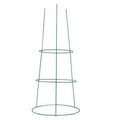 Green Plant Trellis Support for Strong and Healthy Plant Growth (Plant Cages)