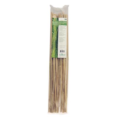 Bamboo Stakes, Gardening Tools