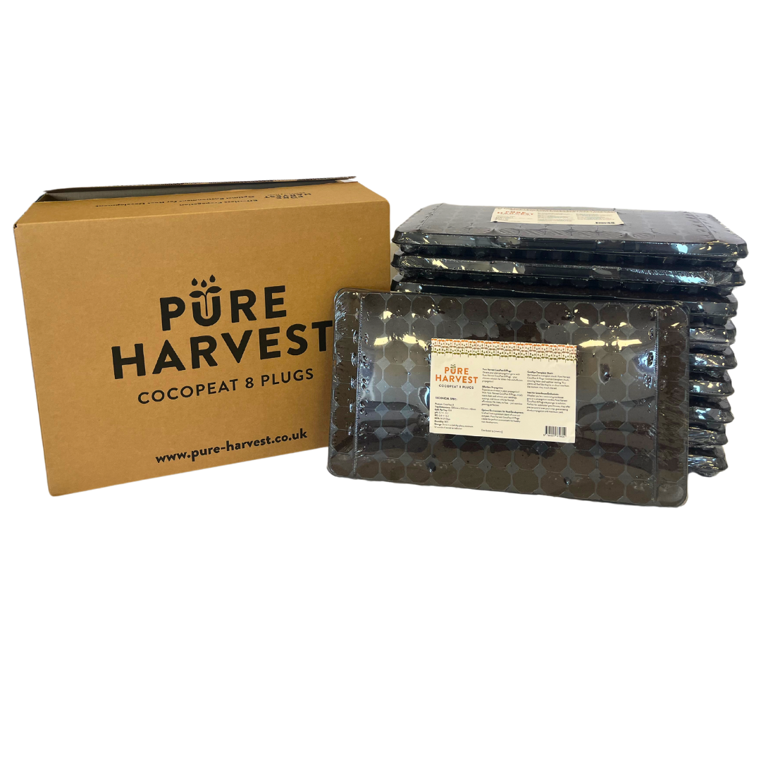 Pure Harvest CocoPeat 8 - 104 Plug SINGLE TRAY