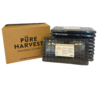 Pure Harvest CocoPeat 8 - 104 Plug SINGLE TRAY