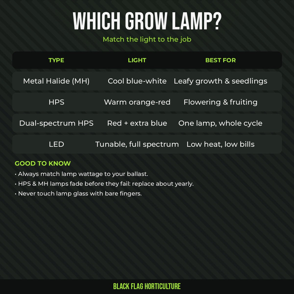 Which grow lamp guide