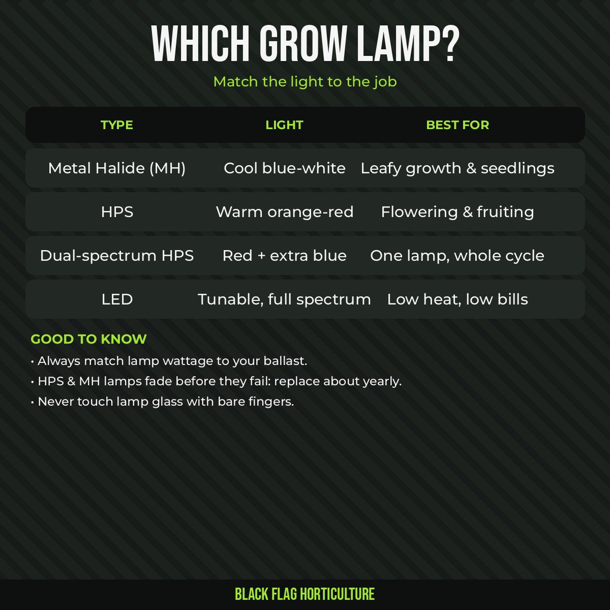 Which grow lamp guide