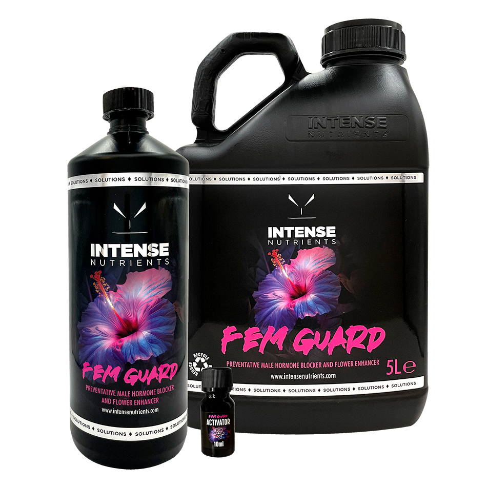 Intense Nutrients - Fem Guard