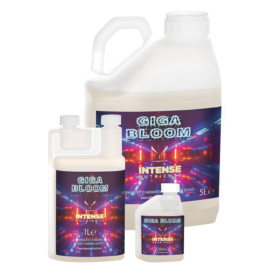 Intense Nutrients Giga Bloom early flowering booster