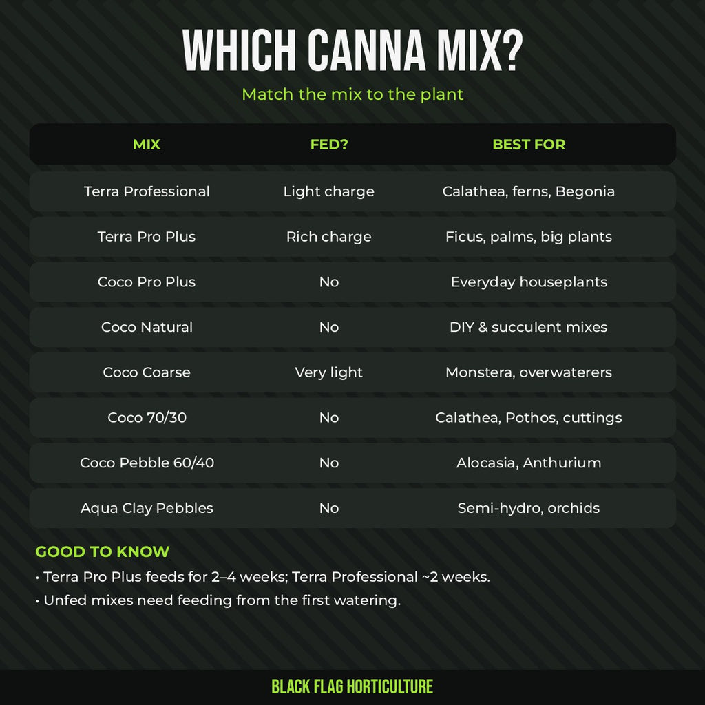 Which CANNA mix: Terra, Coco, 70/30, 60/40 and clay pebbles compared