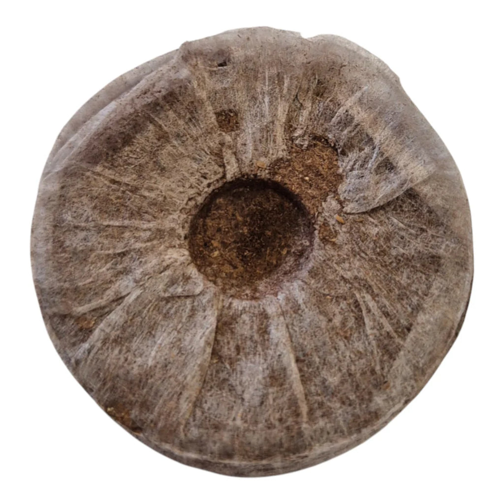 Jiffy 7R Forestry Pellet 50mm x 95mm (Box of 486)