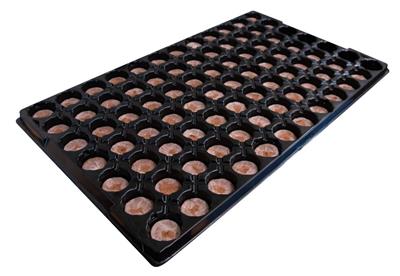 Jiffy - 84 Cell Tray