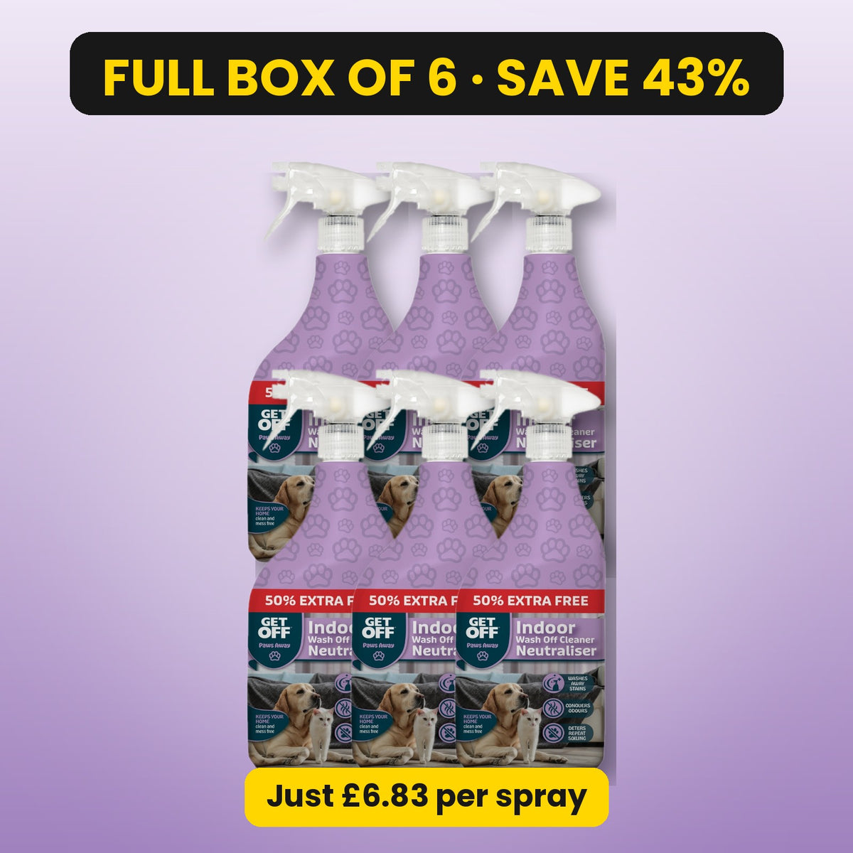Wash Off Indoor – full box of 6, save 43%