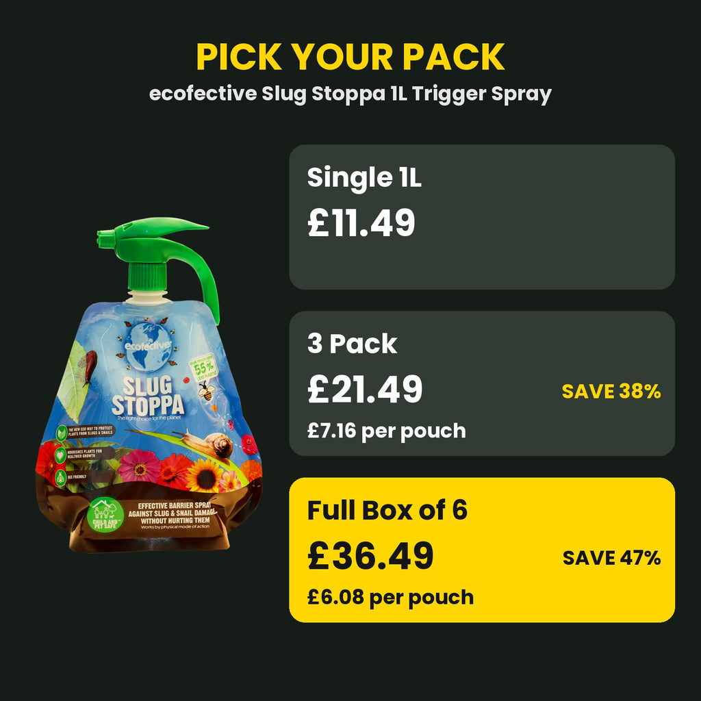 Slug Stoppa spray price guide – single vs 3 pack vs box of 6