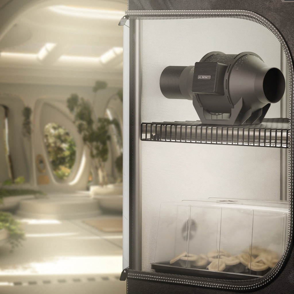 Cloudline H4 fitted to a mushroom fruiting chamber