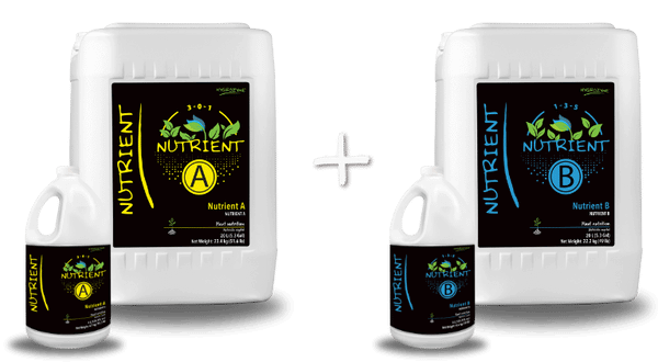 Hygrozyme - Nutrient A&B (Base Feed) (A&B set)