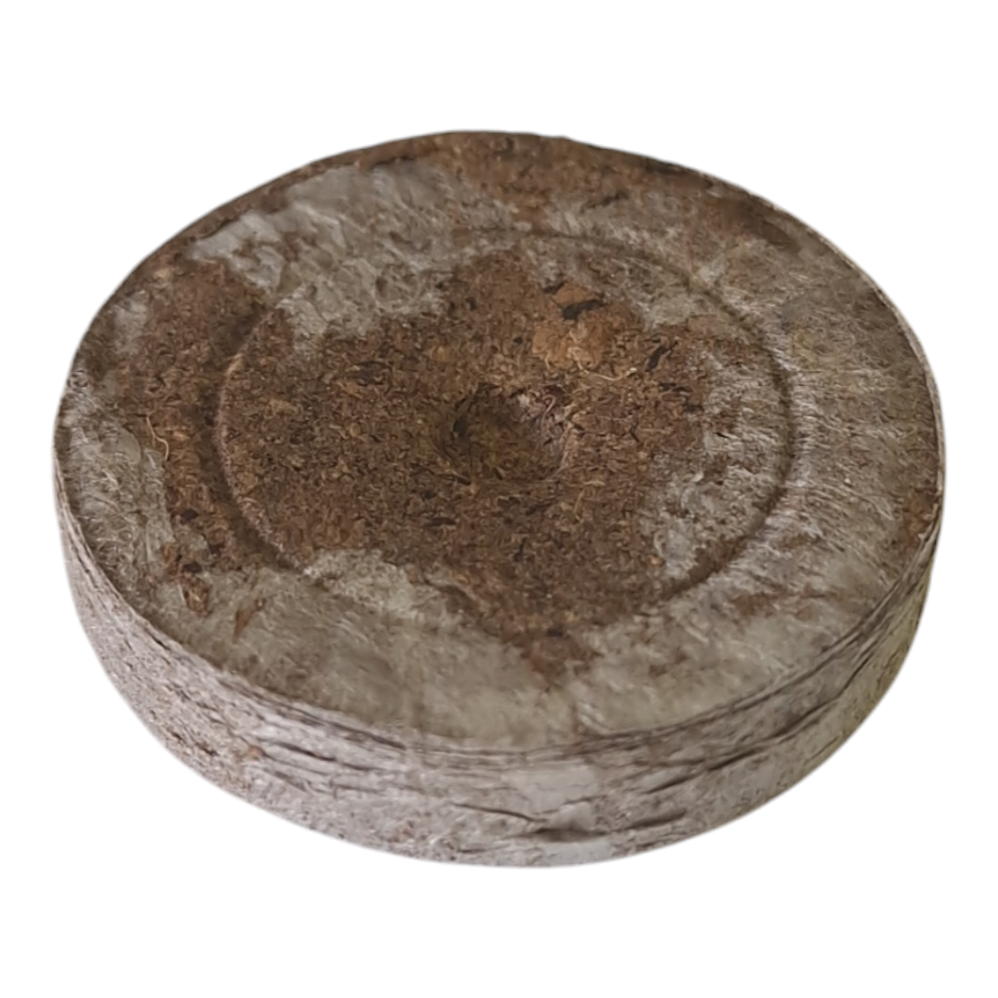 Jiffy-7 - Coco Plugs 41mm