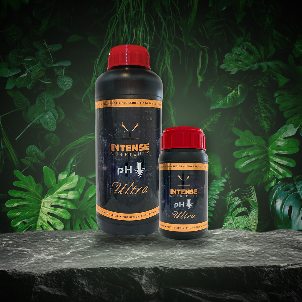 Intense Nutrients pH Down Ultra 250ml and 1 litre
