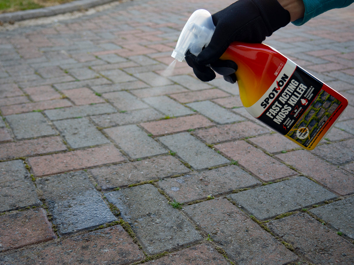Spraying SPOT-ON Fast Acting Moss Killer on a block paved drive
