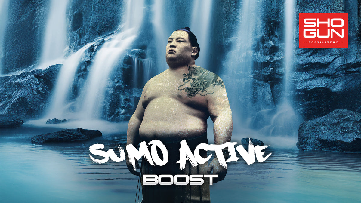 Shogun Sumo Active Boost