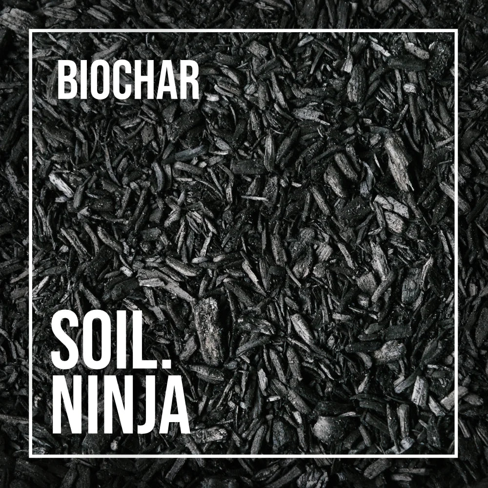 Soil Ninja Biochar fine horticultural biochar flakes for houseplants, aroids and semi-hydro