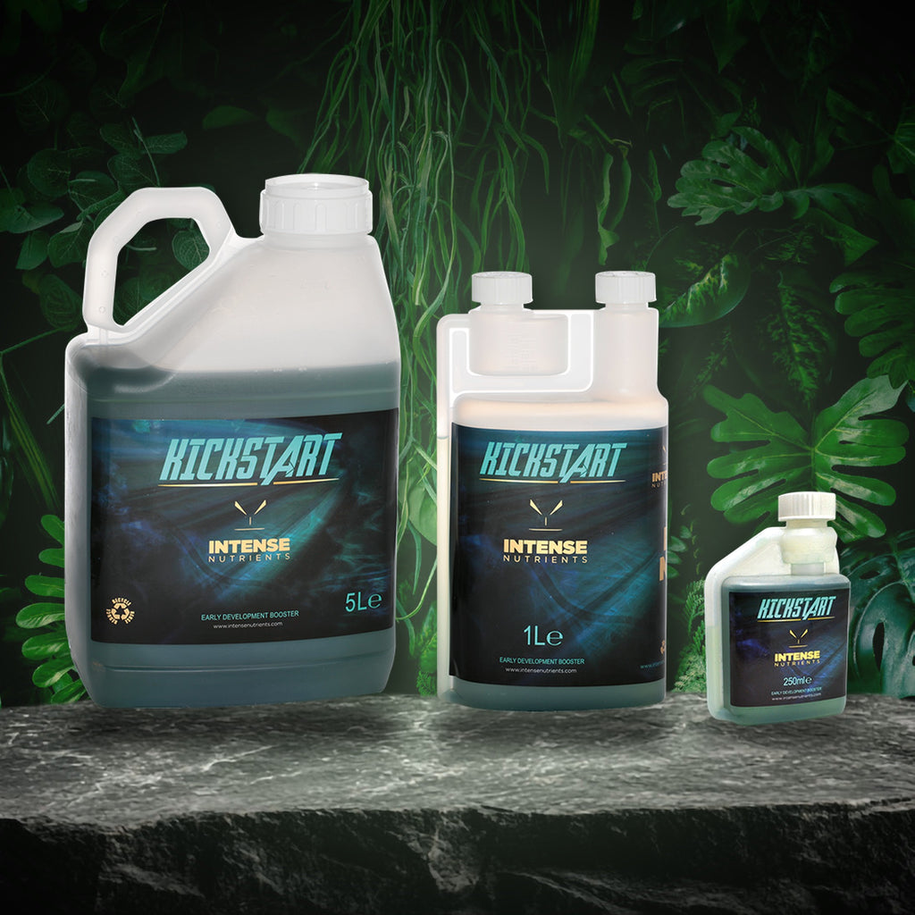 Intense Nutrients Kickstart 250ml, 1 litre and 5 litre