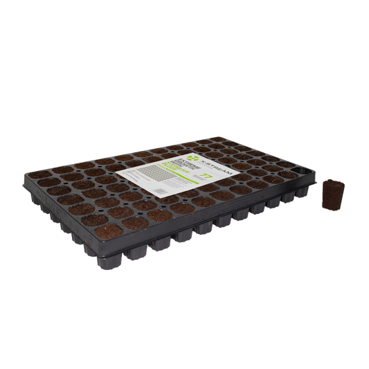 X-Stream Dry Plugs - (77 per tray)