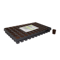 X-Stream Dry Plugs 77 Per Tray